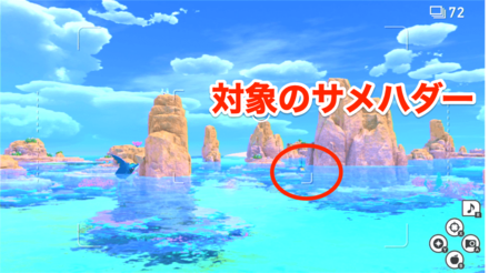 右奥にいるサメハダーが撮影対象