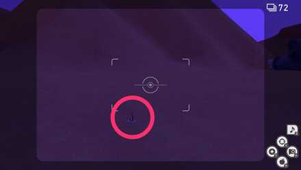 分岐ルート先に埋まっているスナヘビ