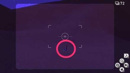 左に埋まっているスナヘビを撮影