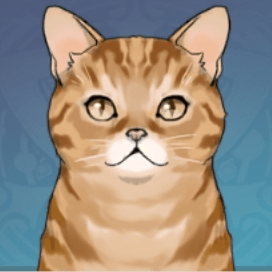 レッドタビー画像