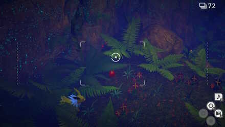 サンダースをバケッチャの近くに誘導する