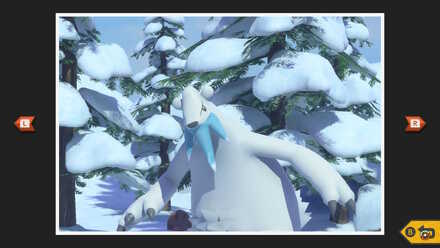 ポケモンスナップswitch ツンベアーの撮り方と出現場所 ポケスナ ゲームエイト