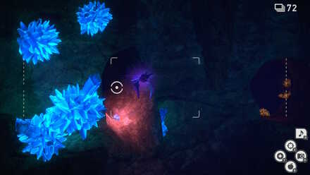 クロバットを飛び立たせる