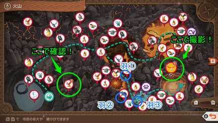 ホウオウのはね場所