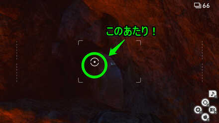 虹色の羽の場所