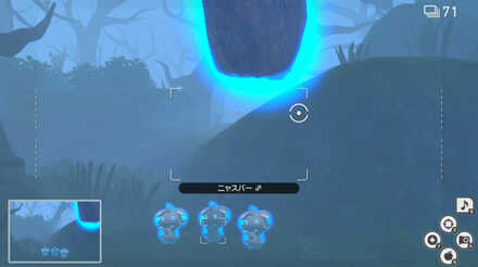 岩と一緒にニャスパーを撮影する