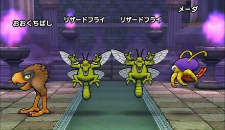 リザードフライのほこらの基本情報