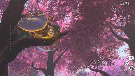 ダーテングにイルミナオーブを当てる