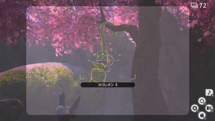 さかさまになってるカクレオンを撮影