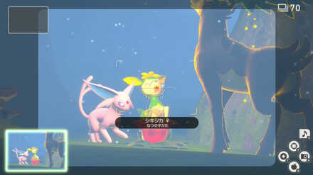 シキジカが前足を上げた所を撮影