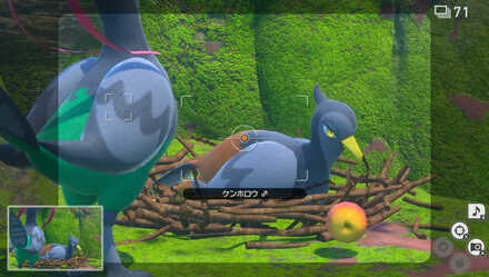 ケンホロウにリンゴをぶつける