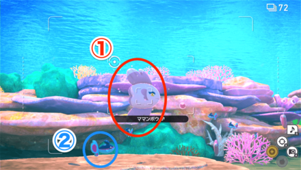 ママンボウとケイコウオにイルミナオーブ