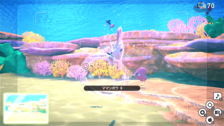 バブルリングを作ったママンボウを撮影