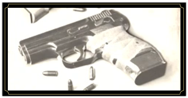 バイオハザードヴィレッジ】武器一覧と入手方法【バイオ8】｜ゲームエイト