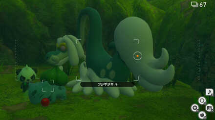 フシギダネかヤンチャムにふわリンゴをぶつける