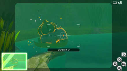 フシギダネがハスボーに乗ったら撮影