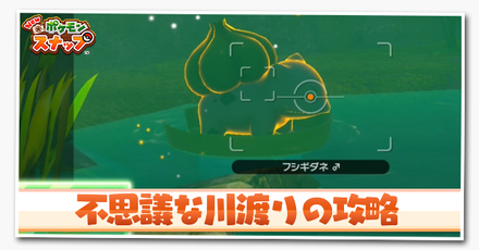 不思議な川渡り