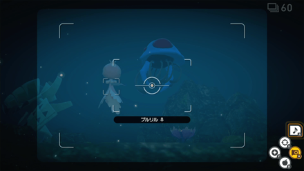 プルリルとドククラゲの近くでメロデイ