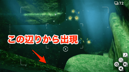 この辺りから出現