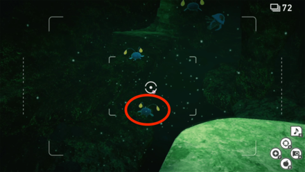 下から出たチョンチー