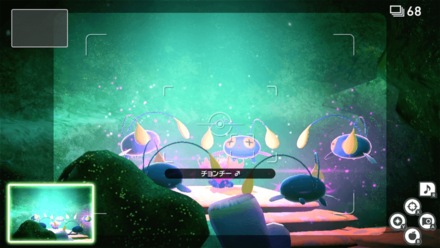 イルミナフラワーで集まったチョンチーを撮影