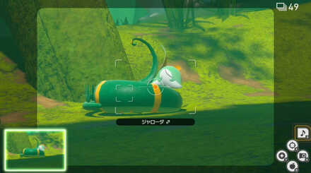 寝ている所を撮影する