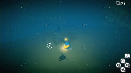 ランターンが発光した瞬間を撮影