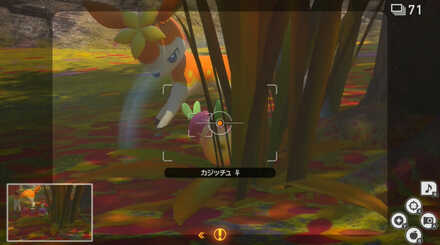 怒ったカジッチュを撮影