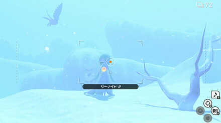 キュウコンの前にいるサーナイトにイルミナオーブ