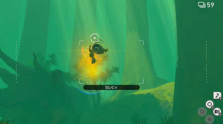 セレビィにイルミナオーブを当てる