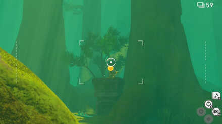 遺跡に座ってるセレビィにイルミナオーブを当てる