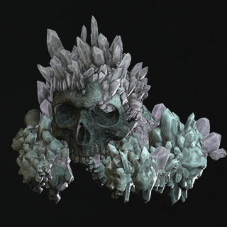 頭骨の完全結晶の画像