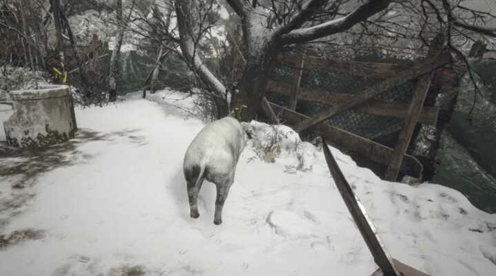 獣の特上肉 ブタ
