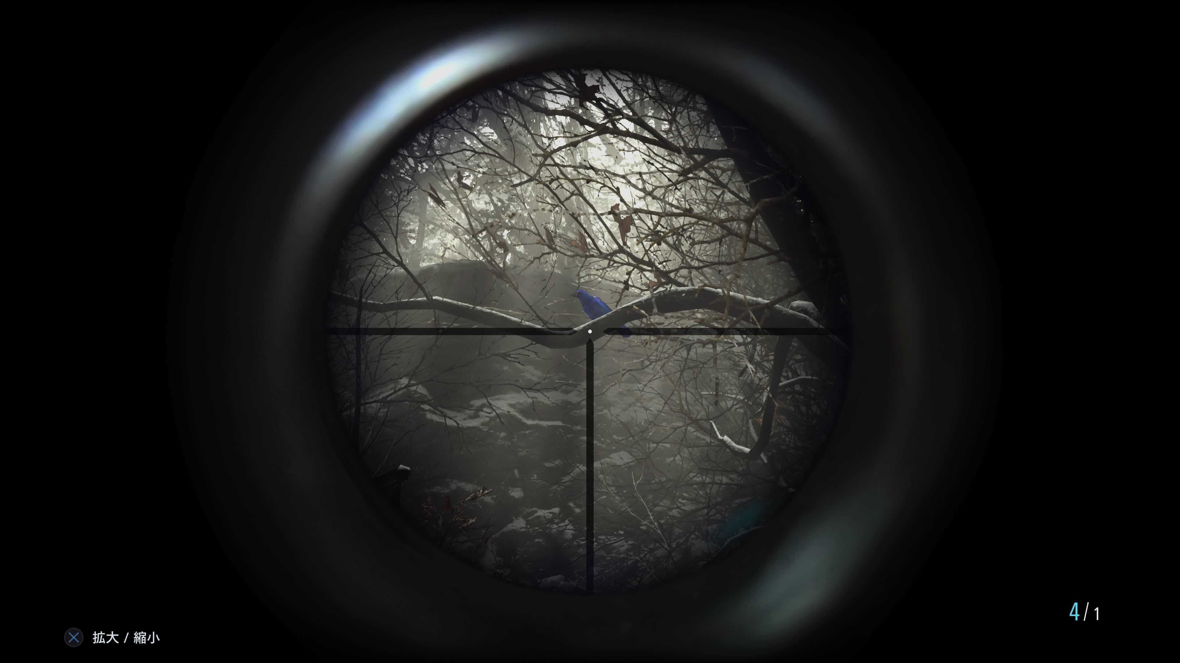 高級な鳥肉 生物