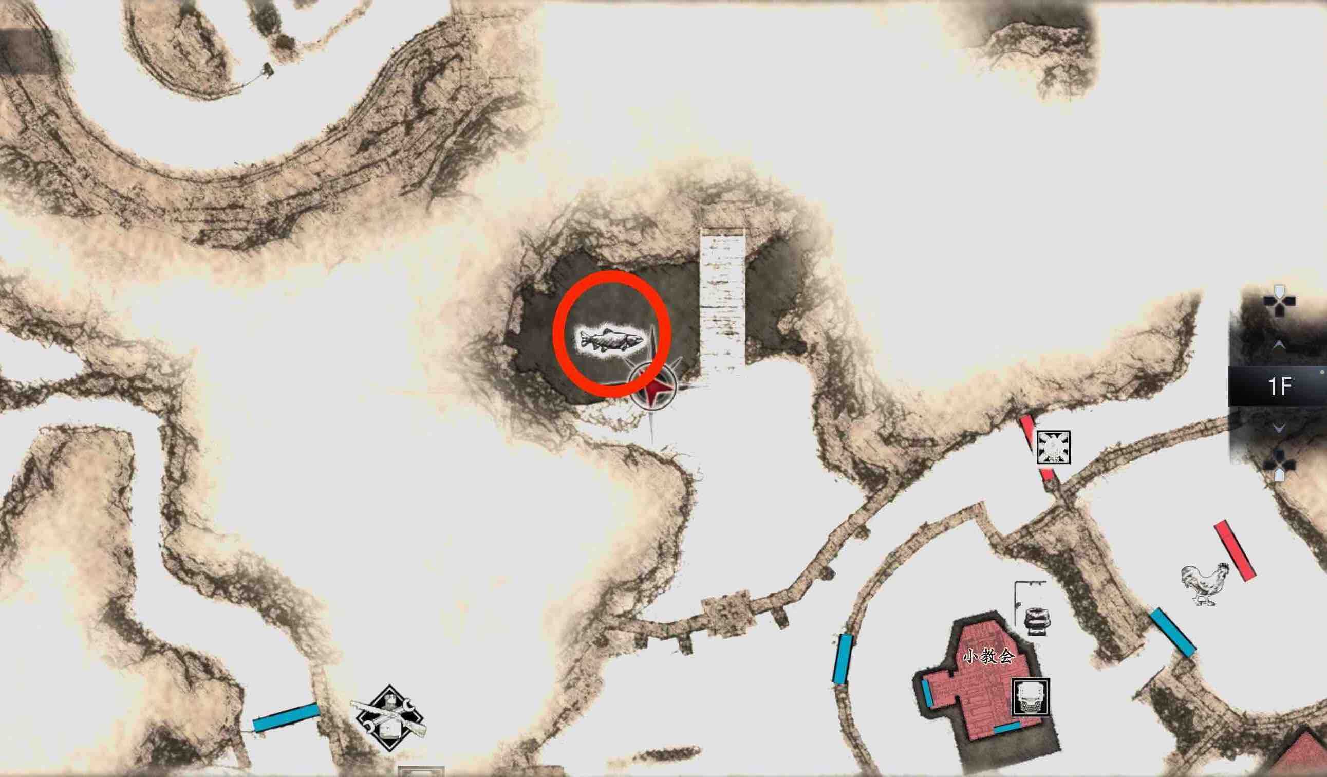 魚の生肉 入手場所