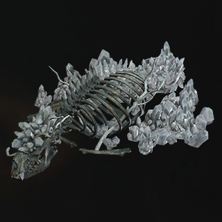 牙獣の結晶骨格の画像