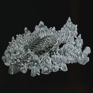 古牙獣の結晶骨格の画像