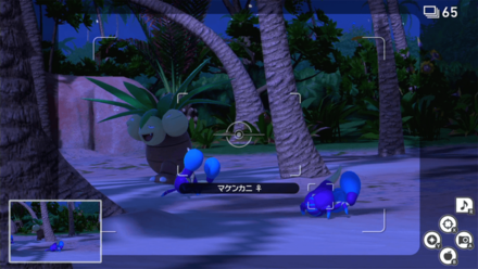 マケンカニを追いかけている姿を撮影