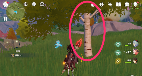 樺材の入手場所