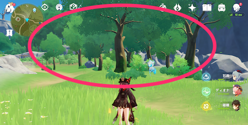 樺材の入手場所