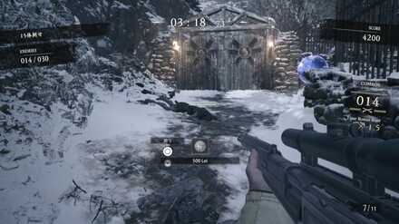 倒れたモロアイカ