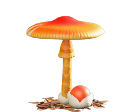 きのこのパラソル