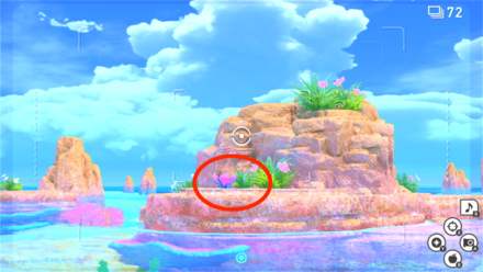 イルミナフラワー