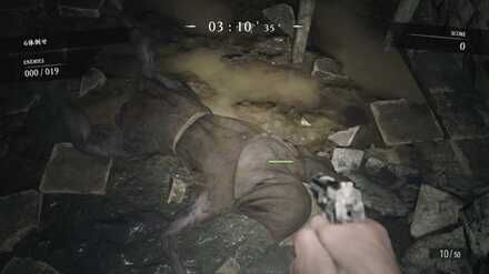 檻内の倒れたモロアイカ