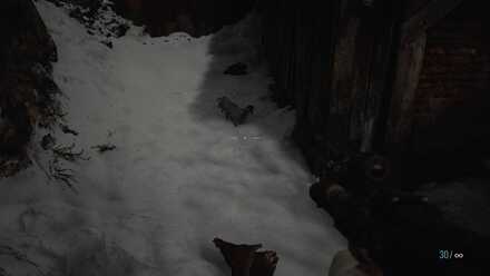 動物を40匹狩る