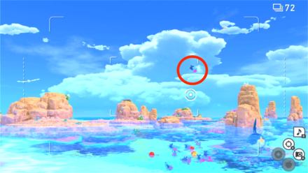 ケイコウオ1匹がはぐれる