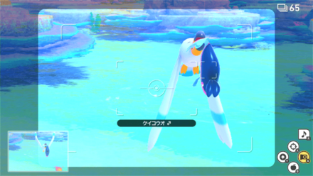 はぐれたケイコウオを咥えて行くキャモメを撮影