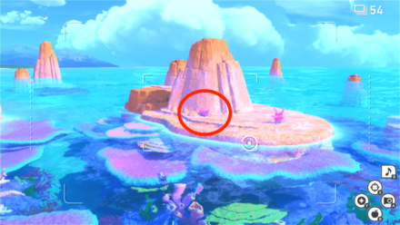 イルミナフラワー