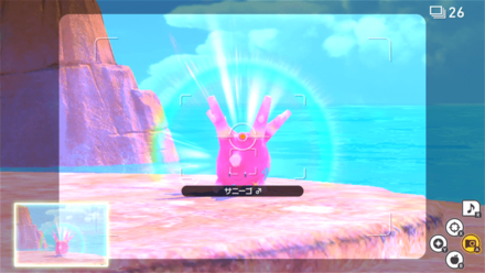 サニーゴが輝いている姿