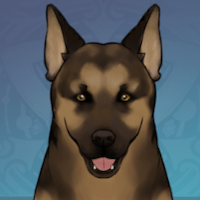 シェパード画像